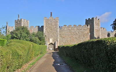 New Lookout-Web-3_New-Lookout-Web-3.jpeg